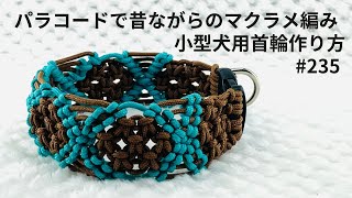 パラコードでマクラメ編み235 伝統的なマクラメ編みで小型犬首輪 macrame braided dog collar [upl. by Sevein]