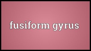 Fusiform gyrus Meaning [upl. by Iden]