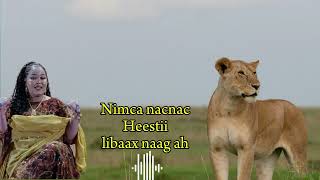 NIMCA NACNAC HESTII LIBAX NAG By AKSHEY LYRICS [upl. by Ateiram]