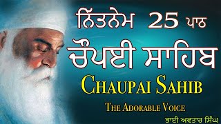 Chaupai Sahib 25 Path Full  Vol 149  Chaupai Sahib Nitnem  Path Chaupai  Bhai Avtar Singh [upl. by Proulx]