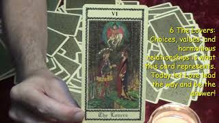 The Medieval Scapini Tarot 11624 Daily Tarot Reading [upl. by Mumford]