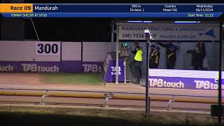 Mandurah06112024Race9 [upl. by Noram]