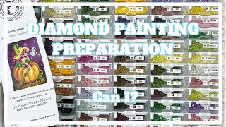 I Need to Finish This One Fast  Diamond Painting Preparation [upl. by Aidas]