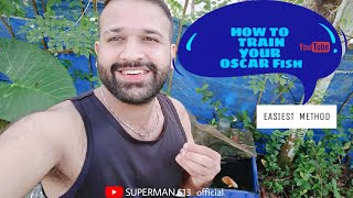 Oscar Fish Training SIMPLEST Method⭐️ [upl. by Noramac]