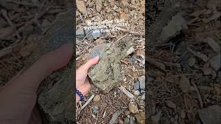 EPIC EPIDOTE crystals rockhounders vancouverisland hiddengems minerals shorts epic sparkle [upl. by Ben]