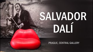 SALVADOR DALI  Prague Central gallery [upl. by Delia]