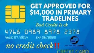 Get Approved for 14000 in Primary Tradelines TODAY [upl. by Yelraf]