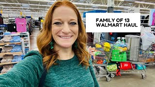 FAMILY OF 13 WALMART HAUL [upl. by Bloxberg]