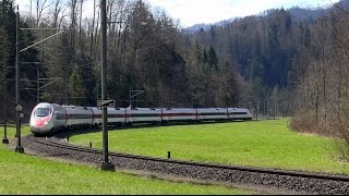 Im Cockpit des «Pendolino» durch den Urwald Pendolino im Sihltal ETR 470 ETR 610 [upl. by Schlesinger]