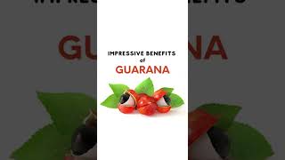 Impressive Benefits of Guarana  Energy Superfood  “Elixir of Youth” [upl. by Ylam]