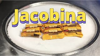 Jacobina Biscuits Snack Foods  Support Local Filipino Products [upl. by Aiela]