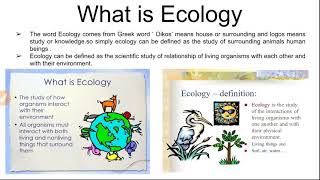 What is ecology and ecosystem classification of ecosystem [upl. by Eltsyrhc]