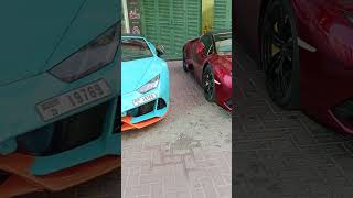 Lamborghini Dubai car lover lamborhini carscar branthan support my channel [upl. by Anni549]