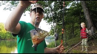 How to catch catfish from the bank  Bank fishing for catfish [upl. by Asset]