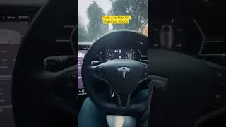 Tesla AutoPilot On Pakistani Roads [upl. by Ellehcit]