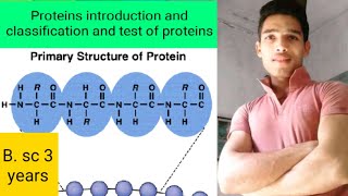 Proteins introduction and classification [upl. by Stock610]