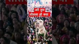 baba ji ka gyaan funny thor pitbull comedyvideos shorts shortbeta shortfeed [upl. by Hennahane]