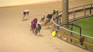 Rockhampton06112024Race6 [upl. by Tengdin]