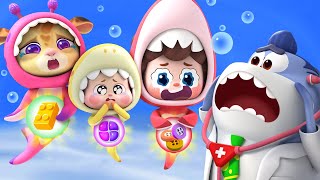 Its Not Food  Safety Rules  Baby Shark  Nursery Rhymes amp Kids Songs  BabyBus [upl. by Ailehc984]