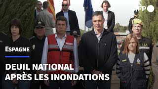 Inondations en Espagne minute de silence en présence de Pedro Sánchez  AFP Images [upl. by Airalednac578]