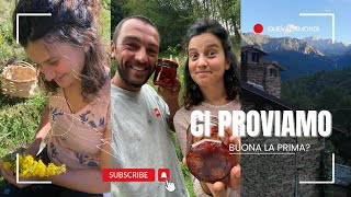 Una nuova prova tintura madre di Verga dOro pomodorini e  Ep 572  Vivere in Montagna [upl. by Eveneg]