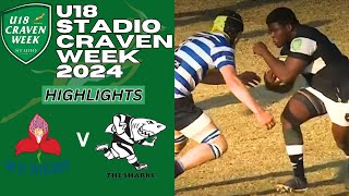 TryFest Western Province vs Sharks  A Craven Week 2024 Classic [upl. by Anaer]