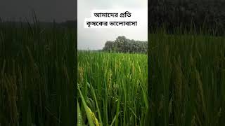 কৃষক এর ভালোবাসা farmer reels food vlog funny viralvideo video [upl. by Nami]