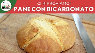 PANE SENZA LIEVITO con bicarbonato fatto in casa ci riprovo FUNZIONA  FoodVlogger [upl. by Eniak]