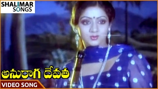 Anuraga Devatha Movie  Choosuko Padhilanga Video Song  NTR Jayapradha  Shalimar Songs [upl. by Aihsetan638]