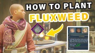 How to Grow amp Harvest Fluxweed and Combat Plants ► Hogwarts Legacy [upl. by Kisor787]