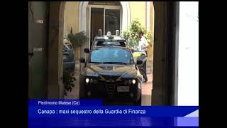 Piedimonte Matese Canapa maxi sequestro della Guardia di Finanza [upl. by Tarrsus993]