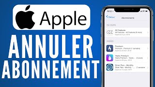 Comment Annuler Un Abonnement iCloud Sur iPhone  FACILE [upl. by Dnomsed]