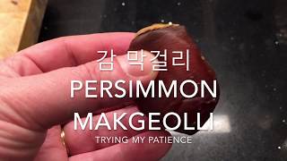 Trying persimmon makgeolli  Trying my patience 감 막걸리 [upl. by Maude478]