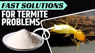 How to Kill Termites the Natural Way [upl. by Sherrod]