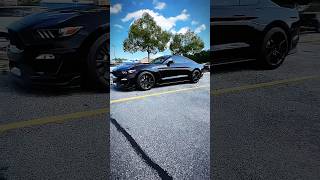 Shelby GT350 🐍 amp 700WHP MT82 🔥 cars gt350 mustanggt [upl. by Hi]