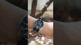 Seiko SKX007ceramic bezel insertnato strap😘SKXthailand seiko seikoskx skx007 watchoftheday [upl. by Malin156]