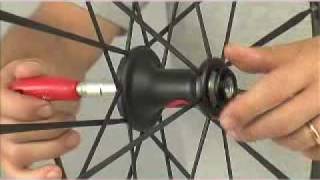 Fulcrum Racing 1 Racing 0 Racing 3 Wheels  Complete hub overhaul [upl. by Noryk]