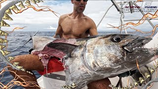 Catamaran Fishing Trip Seychelles November 2024  YFS Jigging Popping Seychelles [upl. by Ennirok]