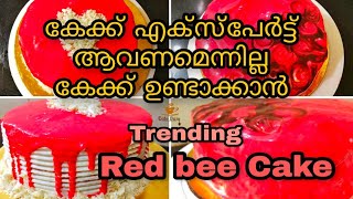 Red bee cake  റെഡ് ബീ കേക്ക്  trending red bee cake recipe malayalam  cafe burg  v039 [upl. by Kooima163]