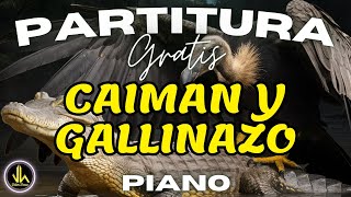 🎼 Partitura CAIMAN Y GALLINAZO  Piano  Partituras Viktor Henao [upl. by Sherborn444]