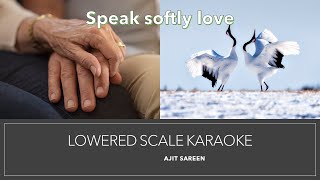 Speak softly love Karaoke  Lowered scale NO COPY RIGHT Easy to sing with lyrics [upl. by Llerrehs181]