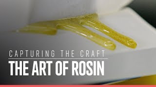 Capturing the Craft The Art of Rosin  Weedmaps News [upl. by Merrick]