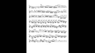 FrDevienne RONDO from Flute Concerto nr7 e minoraccompaniment [upl. by Meelak]