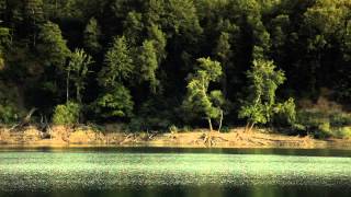 Video documentario quotAlla scoperta del Parco nazionale Appennino lucanoquot [upl. by Wilkens]