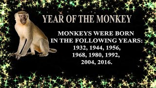 ASTROLOGY MONKEYCHINESE ZODIACPERSONALITYYEAR OF THE MONKEY TRAITMONKEY ZODIAC SIGN [upl. by Zurn]