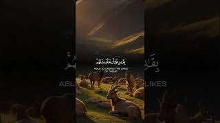 quran markhor mountain nature explore shorts viral [upl. by Atiuqrehs]