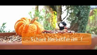 Schöne Herbstferien [upl. by Zielsdorf]