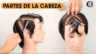 Como dividir el cabello  Partes de la Cabeza Cráneo ★ Peluquería Corte y Estilo [upl. by Ainud377]