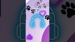 lofi music with a cozy cat lofi cat lofimusik catlover lofistudy cute musiklofi kucinglucu [upl. by Sergent]