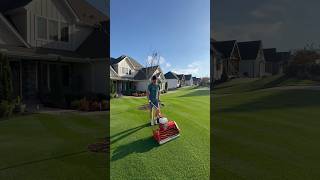 Diamonds are a lawn dads best friend 💎⛳️ satisfying lawn diy reelmower [upl. by Akived]